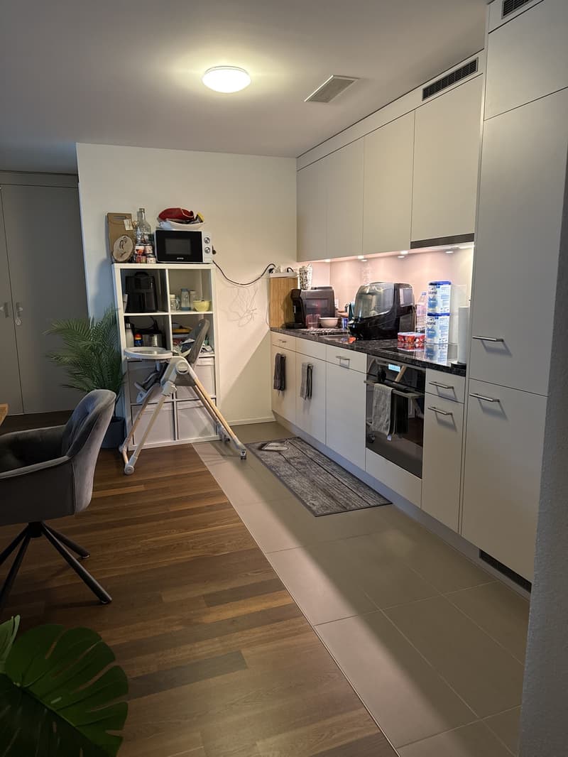 3.5 Zimmerwohnung in Regensdorf (Neubau Dezember 2023) (3)