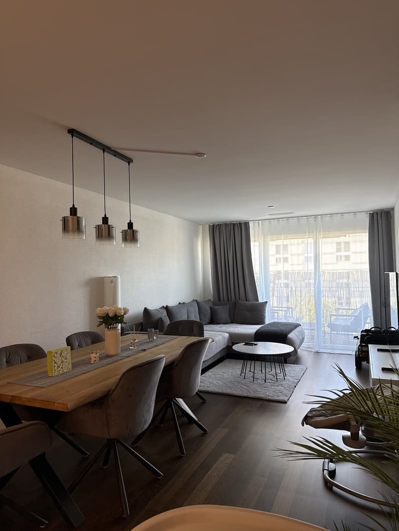 3.5 Zimmerwohnung in Regensdorf (Neubau Dezember 2023) (1)