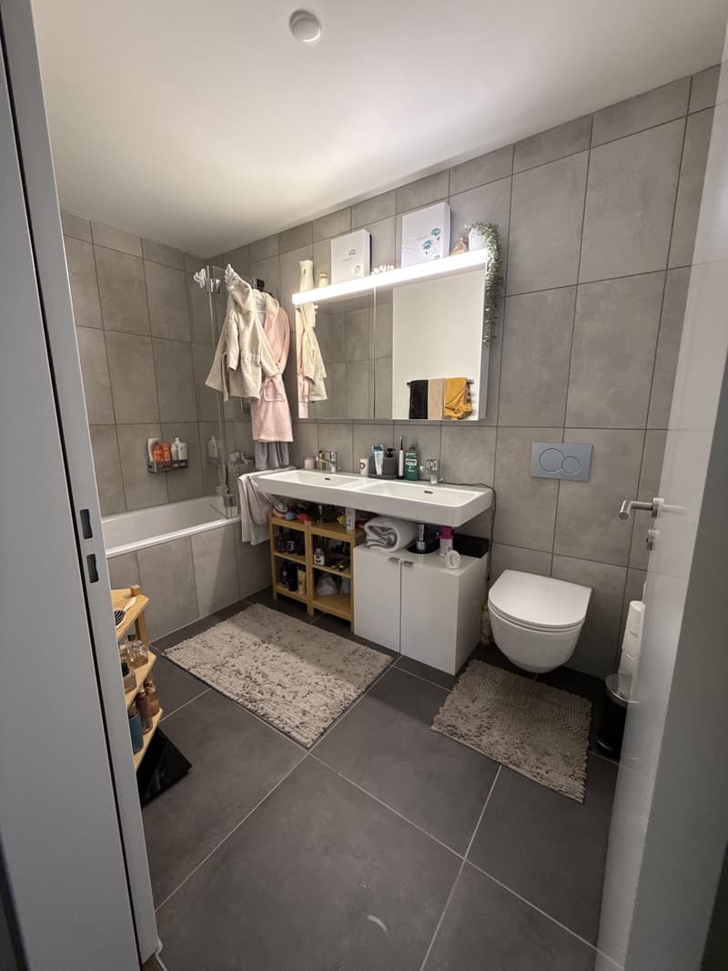 3.5 Zimmerwohnung in Regensdorf (Neubau Dezember 2023) (9)