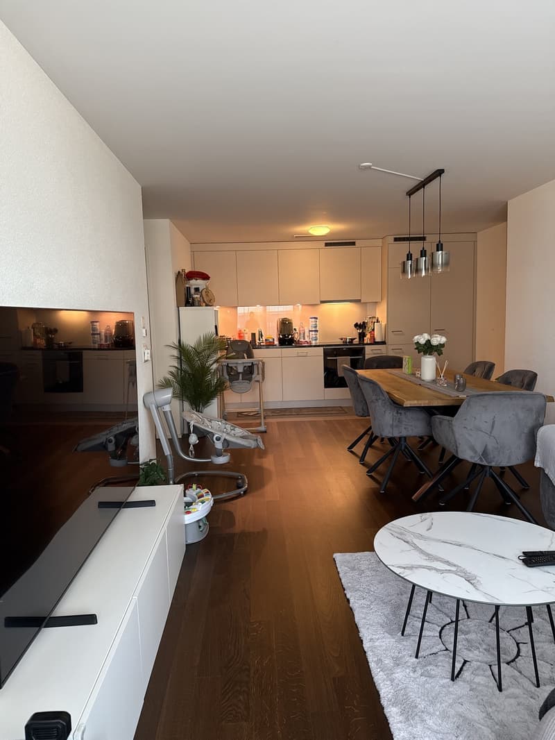 3.5 Zimmerwohnung in Regensdorf (Neubau Dezember 2023) (2)