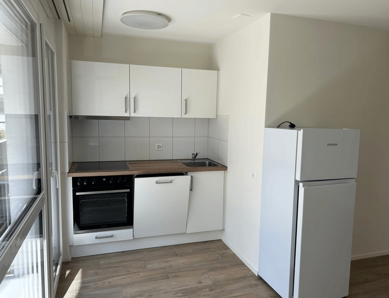 Charmantes 1-Zimmer-Studio mit Balkon in Zürich-Seebach (2)