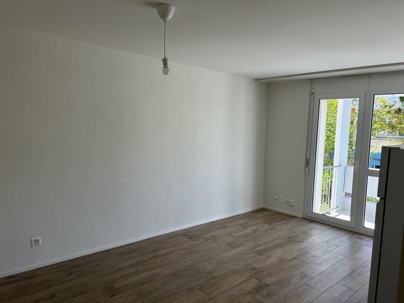 Charmantes 1-Zimmer-Studio mit Balkon in Zürich-Seebach (3)