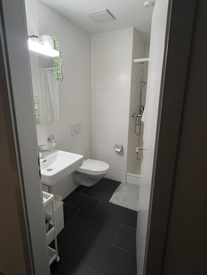 Helle 2-Zimmer Altbauwohnung Breitenrain (6)
