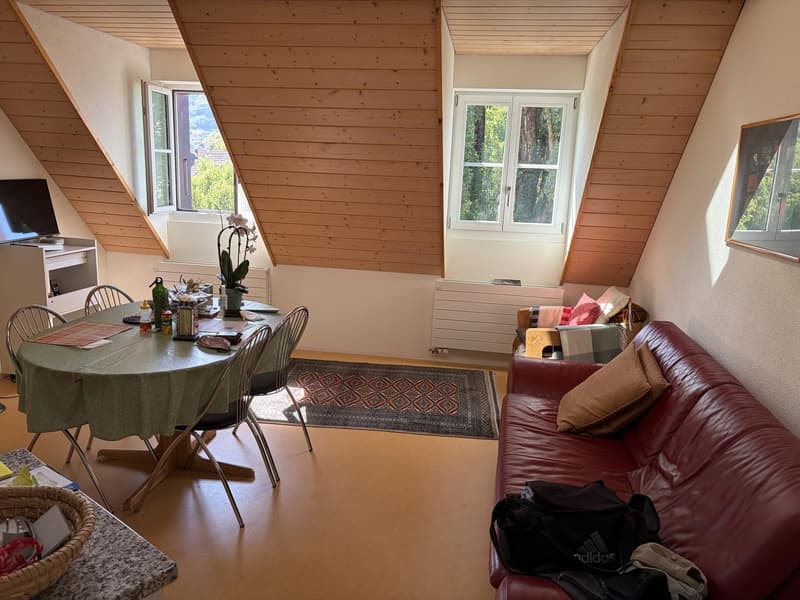 2.5 Zimmerwohnung (1)