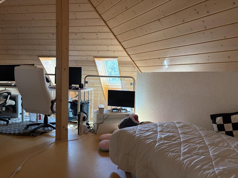 2.5 Zimmerwohnung (4)