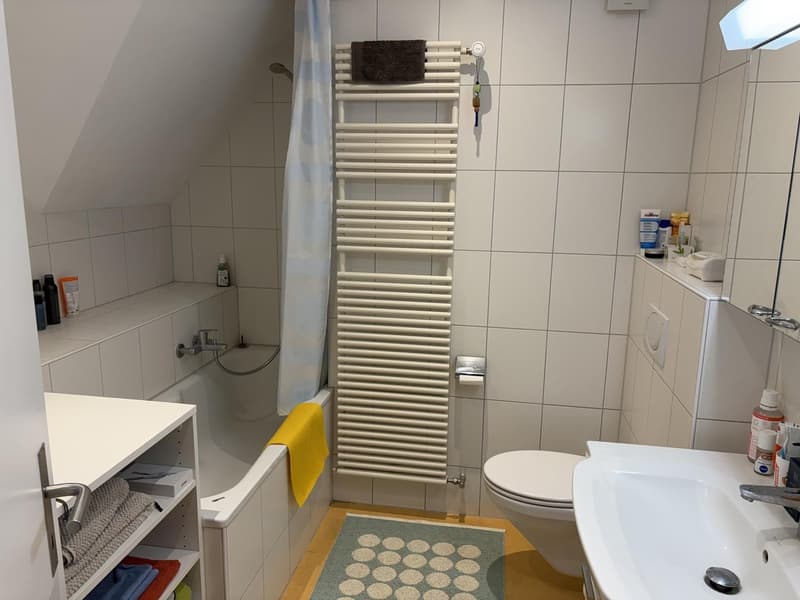 2.5 Zimmerwohnung (5)
