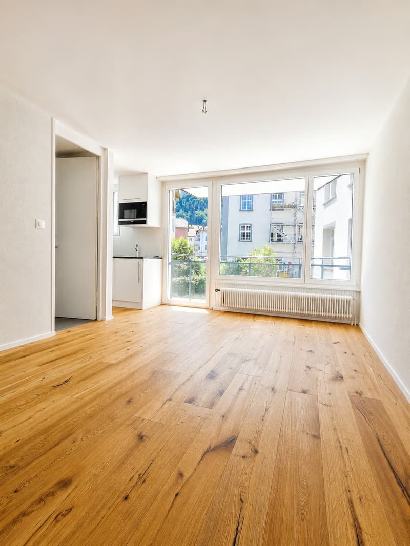 Studio in Chur Nachmieter/in gesucht (2)