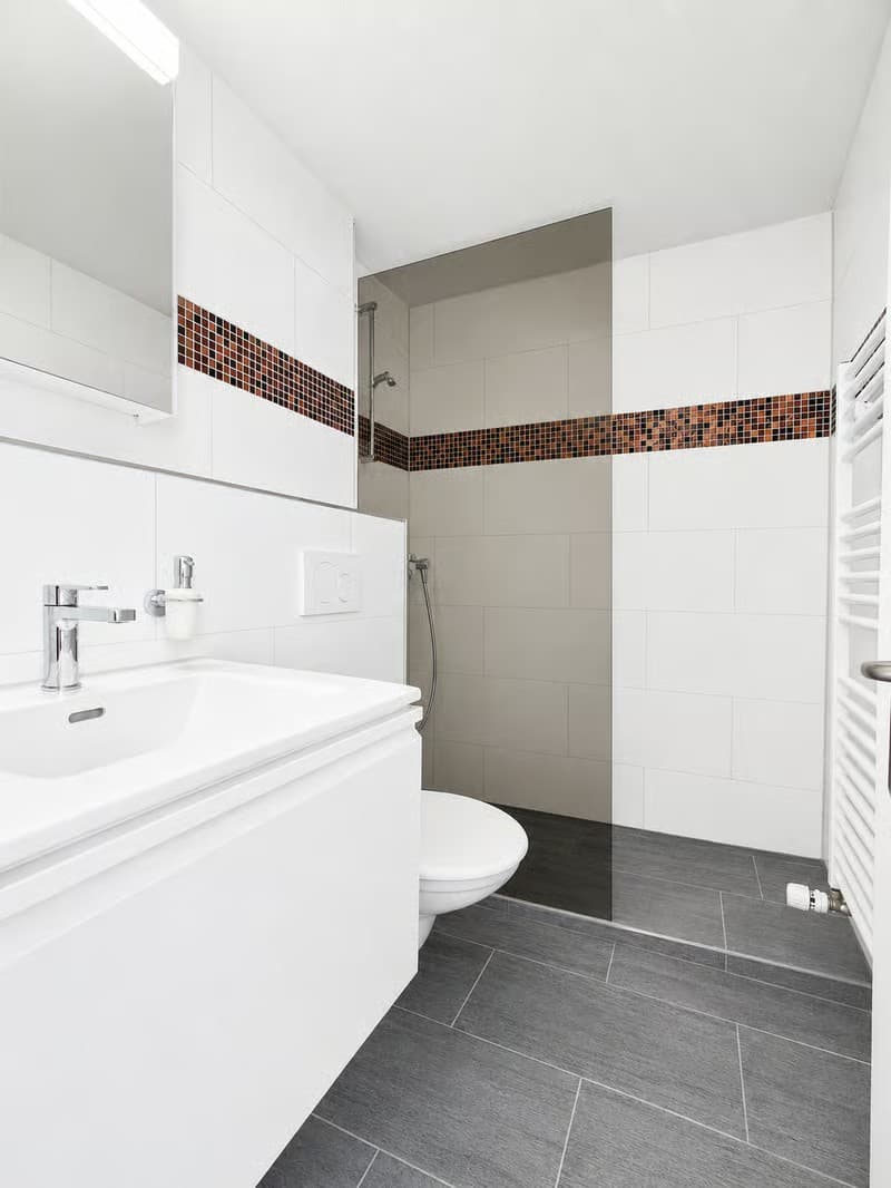 Studio in Chur Nachmieter/in gesucht (3)