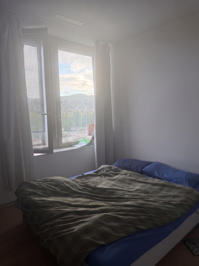 Studio - 1 Room - 56.1m - Westilnk Altstetten (4)