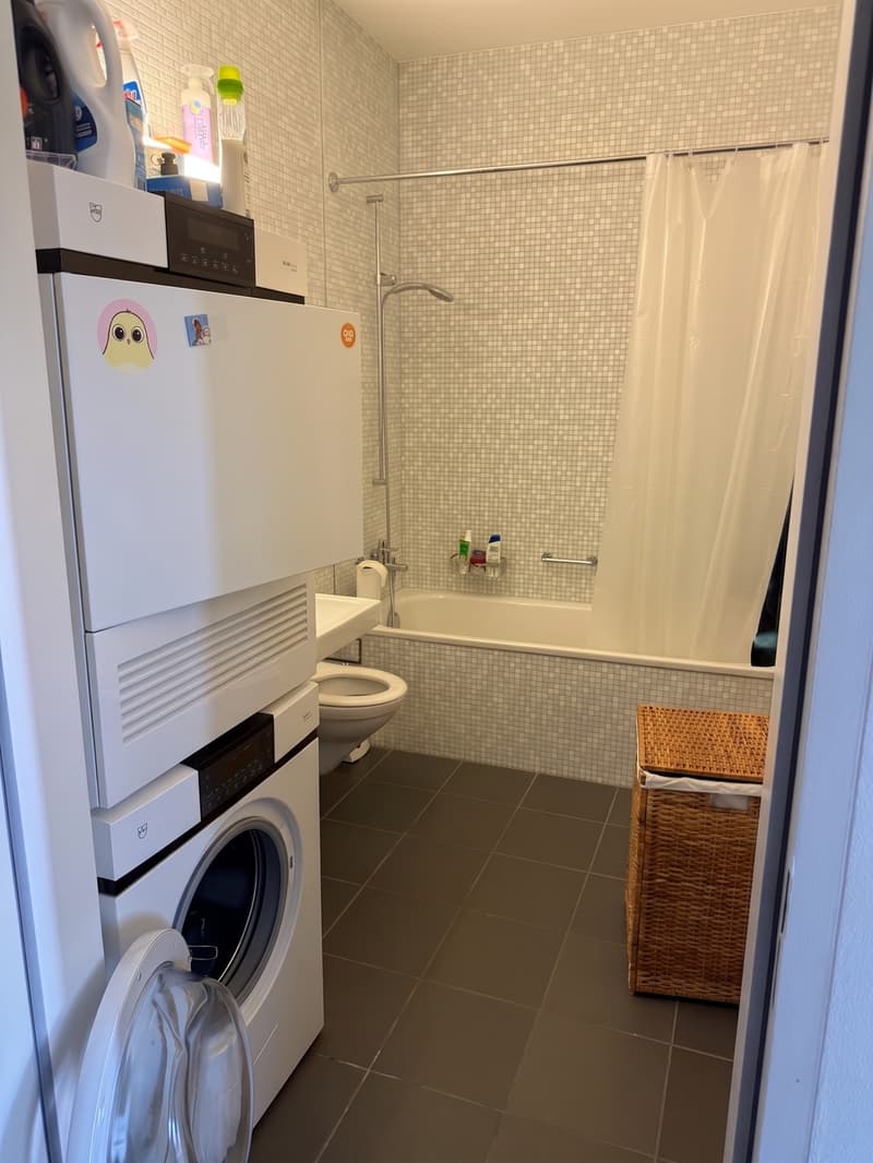 Studio - 1 Room - 56.1m - Westilnk Altstetten (5)