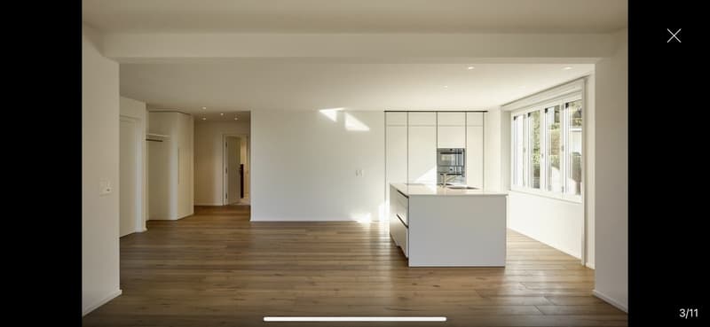 3.5-Zimmer-Wohnung am Zürichberg (3)
