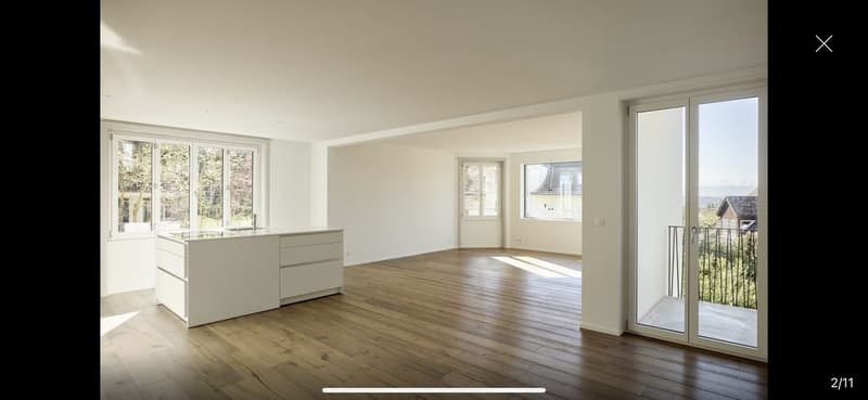 3.5-Zimmer-Wohnung am Zürichberg (2)
