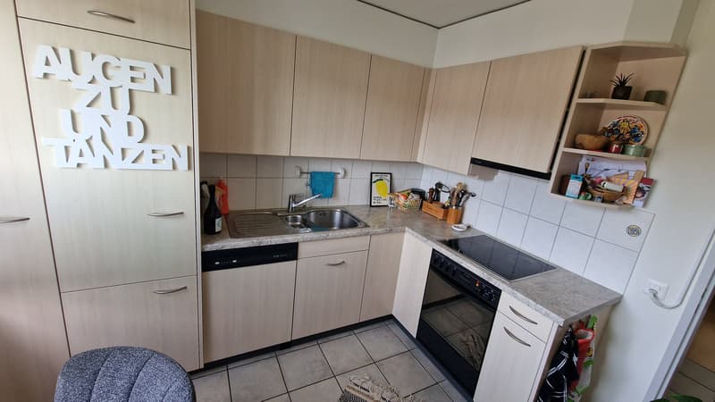 3 1/2 Zimmer Wohnung (3)