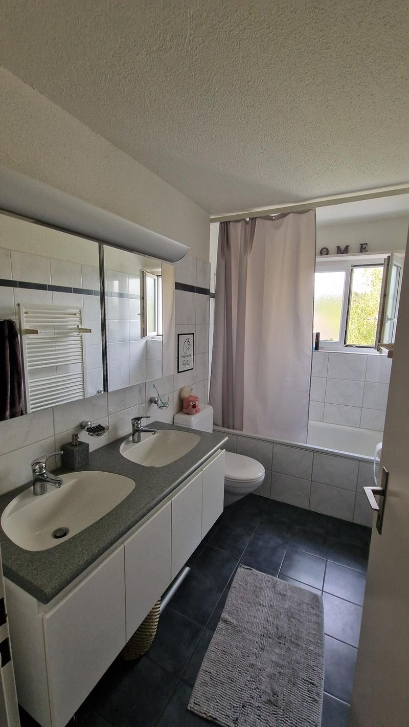 3 1/2 Zimmer Wohnung (4)