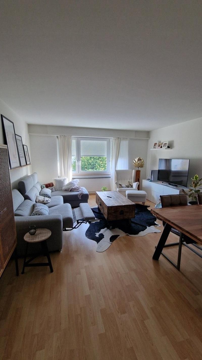 3 1/2 Zimmer Wohnung (1)