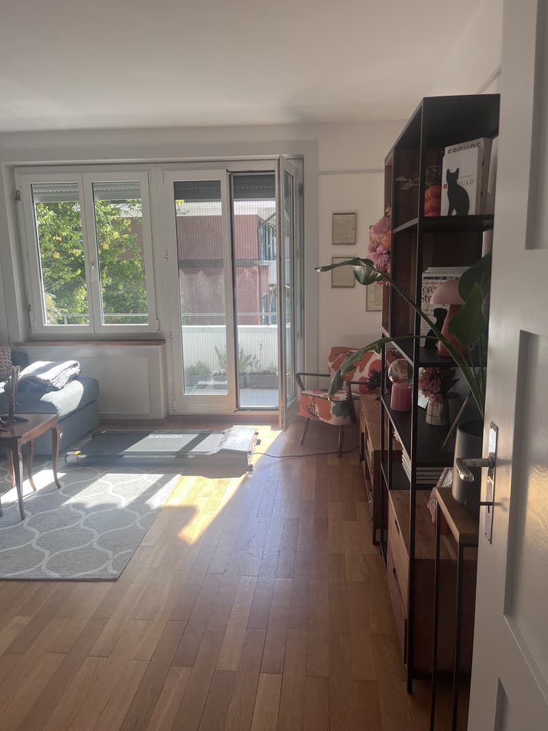 3 Zimmer Wohnung (2)