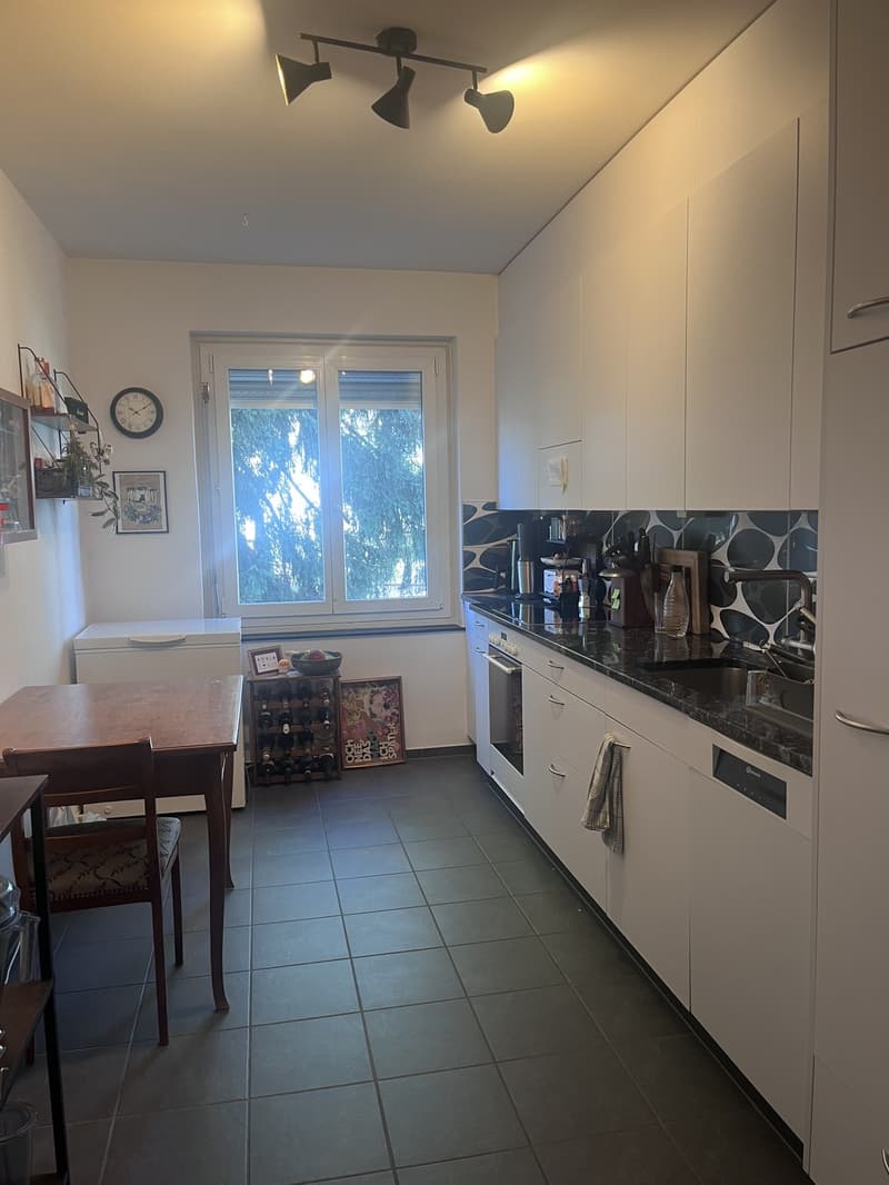 3 Zimmer Wohnung (7)
