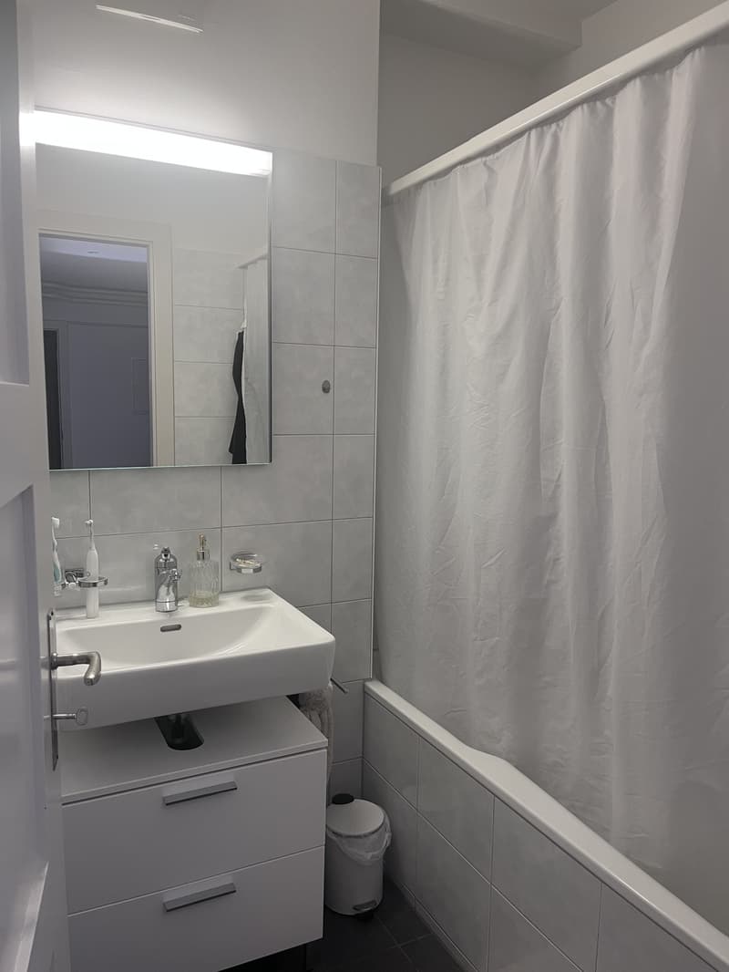 3 Zimmer Wohnung (8)