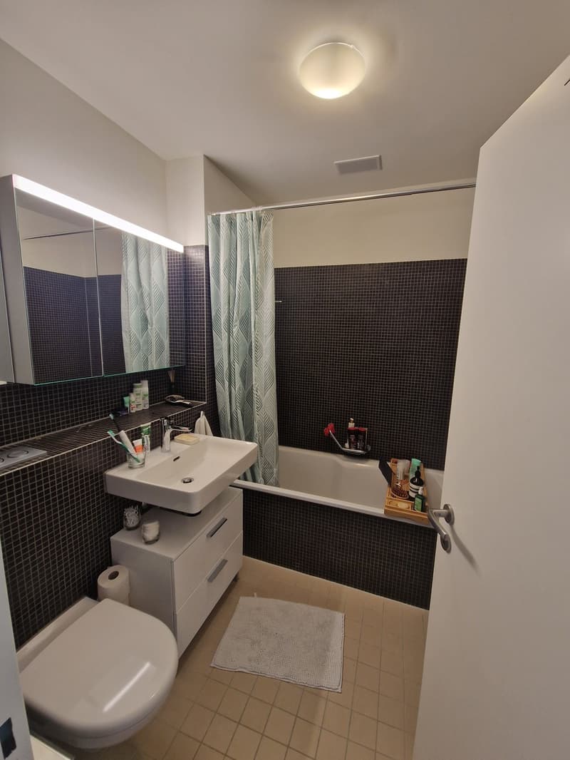 4.5-Zimmer am Käferberg (6)