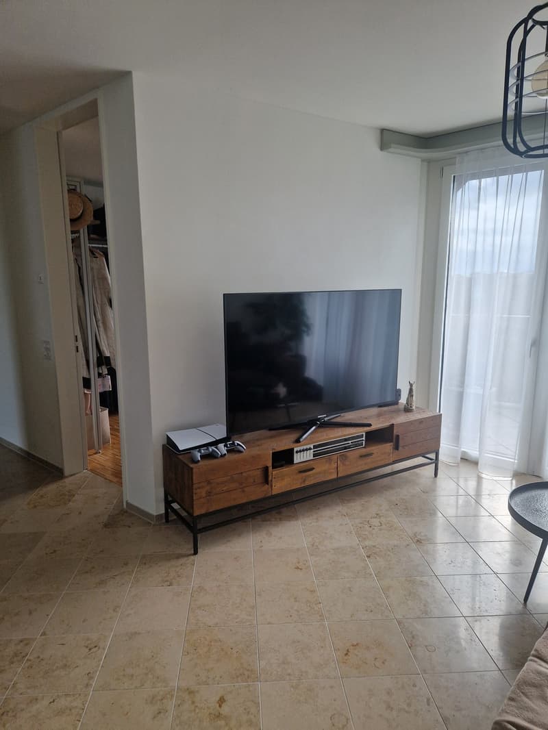 4.5-Zimmer am Käferberg (3)