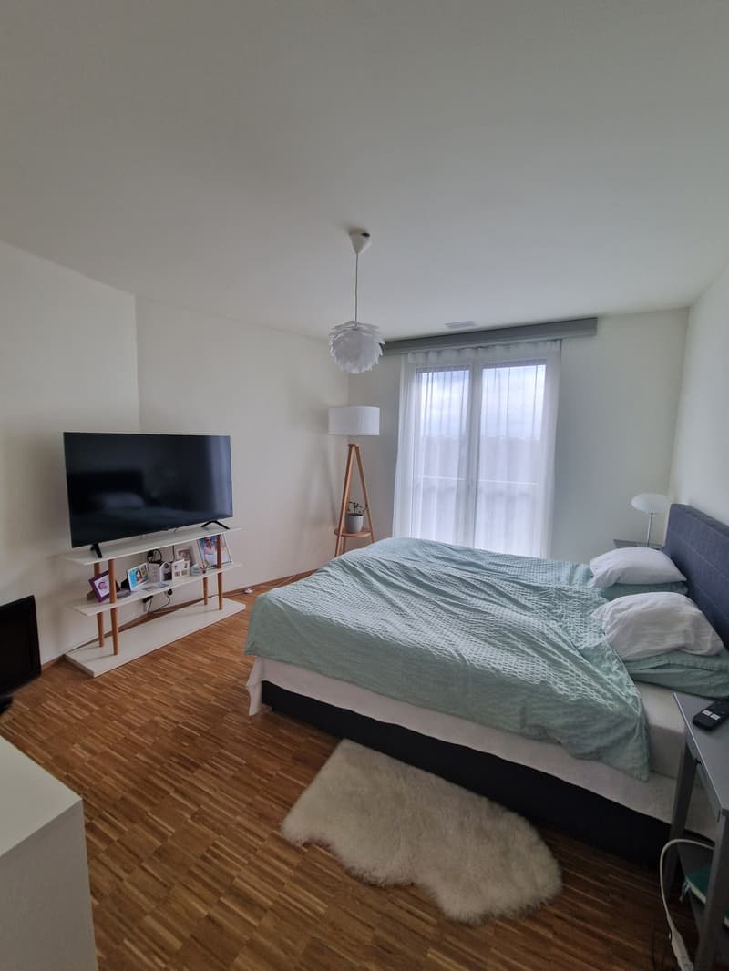 4.5-Zimmer am Käferberg (7)