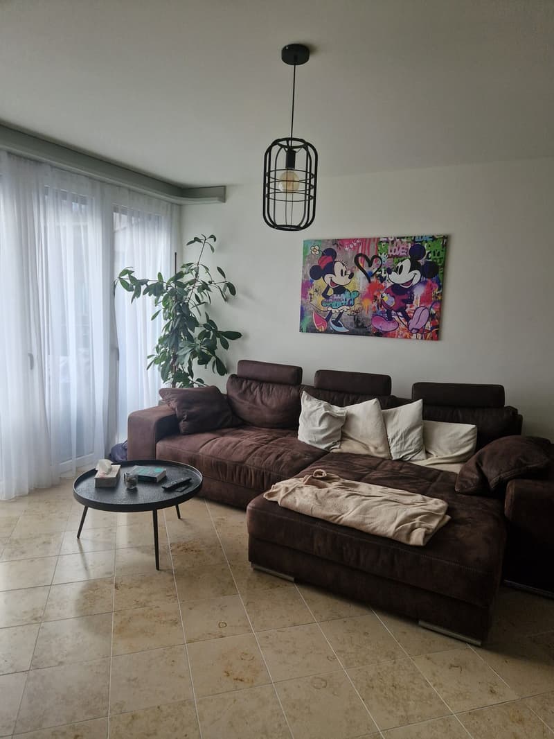 4.5-Zimmer am Käferberg (1)