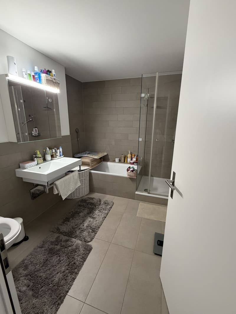 3 ½ Zimmer-Wohnung, 6014 Luzern (3)