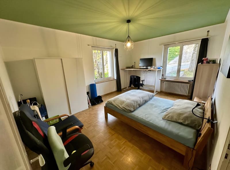 Schönes großes WG Zimmer in gemütlicher WG (1)
