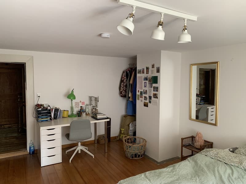 WG-Zimmer frei in Wädenswil (2)