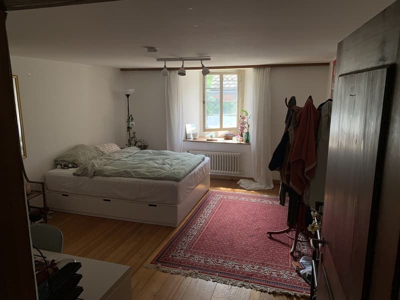 WG-Zimmer frei in Wädenswil (1)