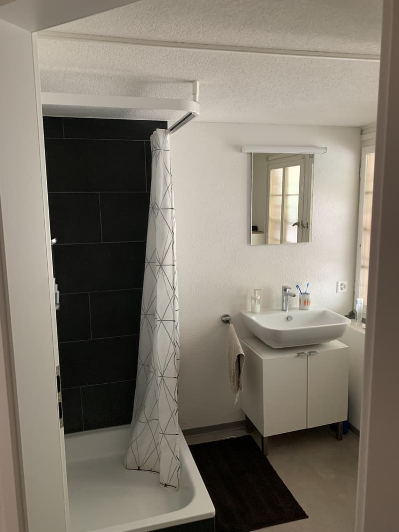 WG-Zimmer frei in Wädenswil (3)