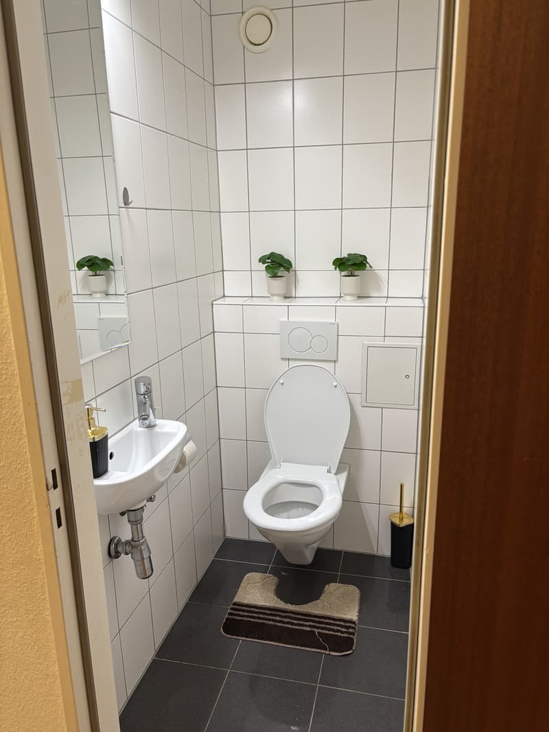 Zum vermieten 3 Zimmer Wohnung (3)