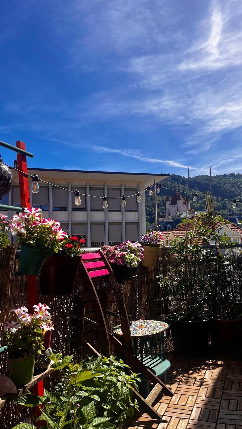 6-Zimmer Wohnung im Herzen von Thun (2)
