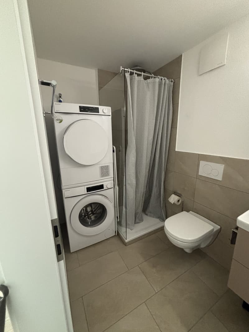 1 ½ Zimmer-Wohnung, 9000 St Gallen (4)