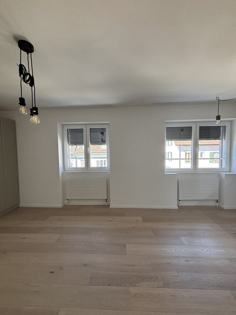 1 ½ Zimmer-Wohnung, 9000 St Gallen (2)