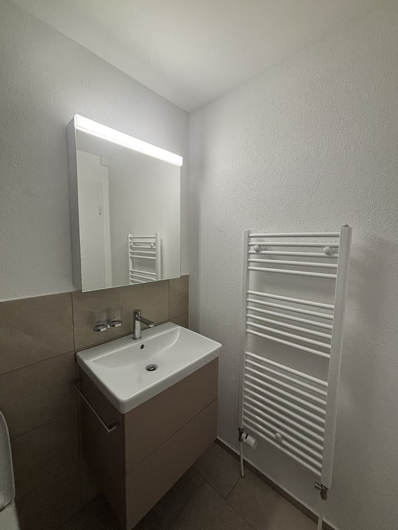 1 ½ Zimmer-Wohnung, 9000 St Gallen (5)