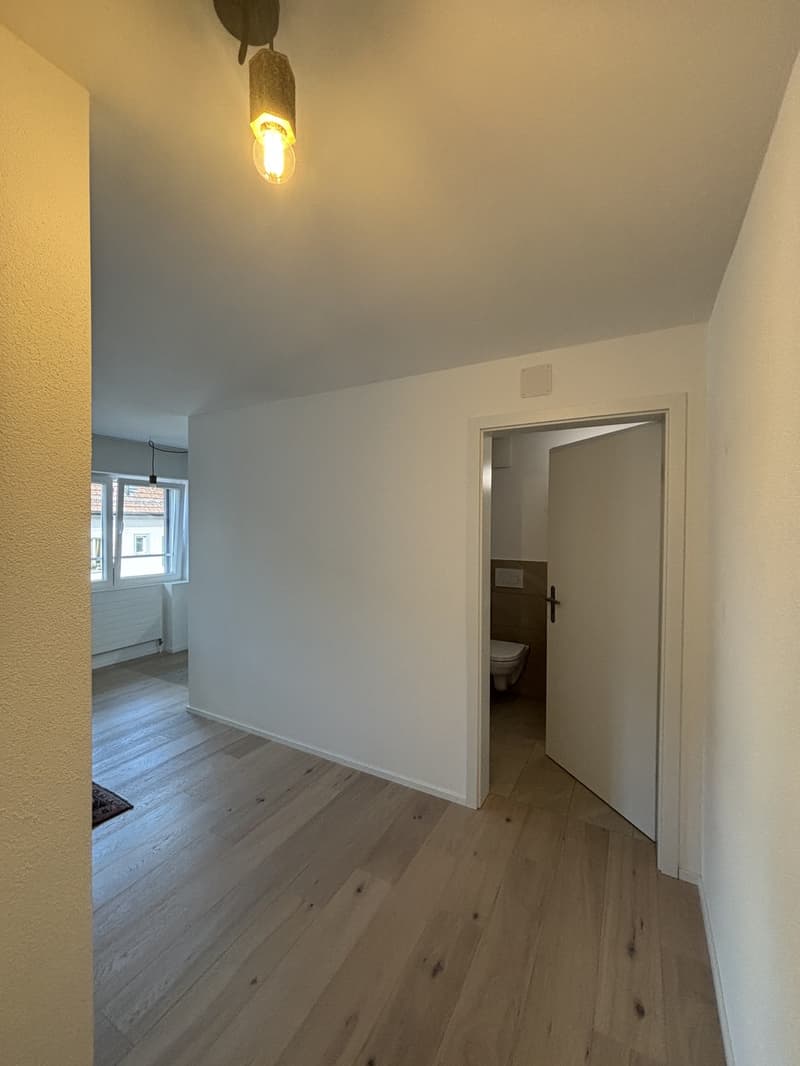 1 ½ Zimmer-Wohnung, 9000 St Gallen (3)