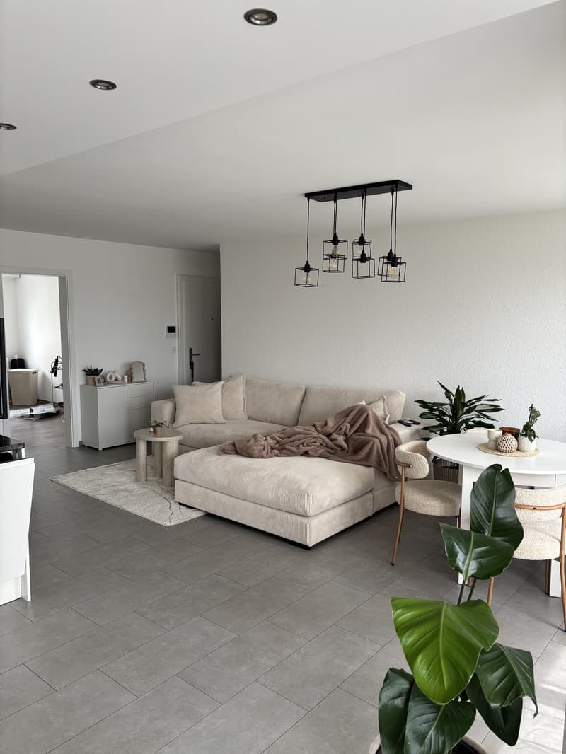 Appartement 3,5 pièces Bienne (7)