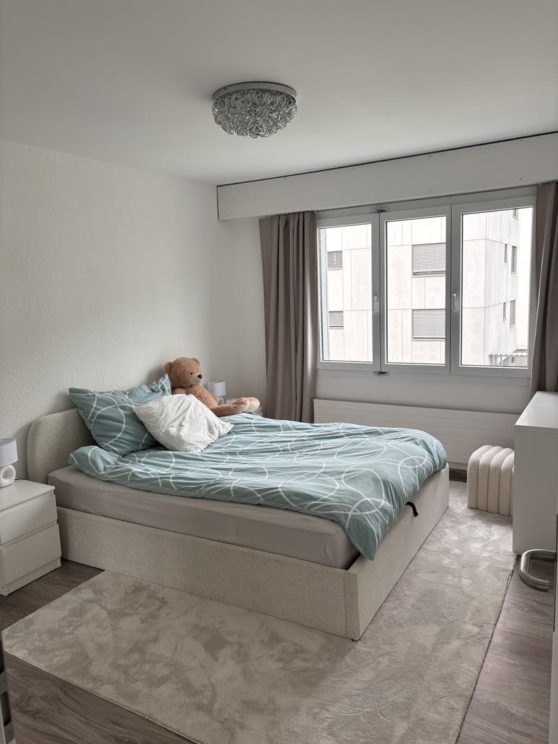 Appartement 3,5 pièces Bienne (10)