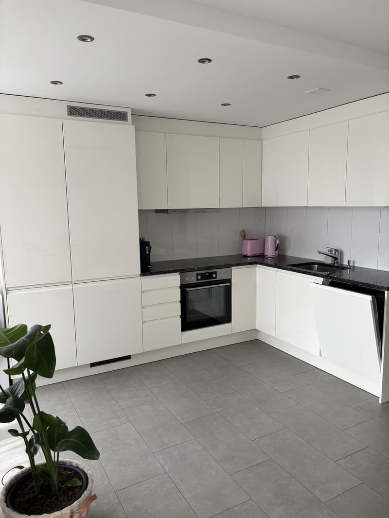 Appartement 3,5 pièces Bienne (2)