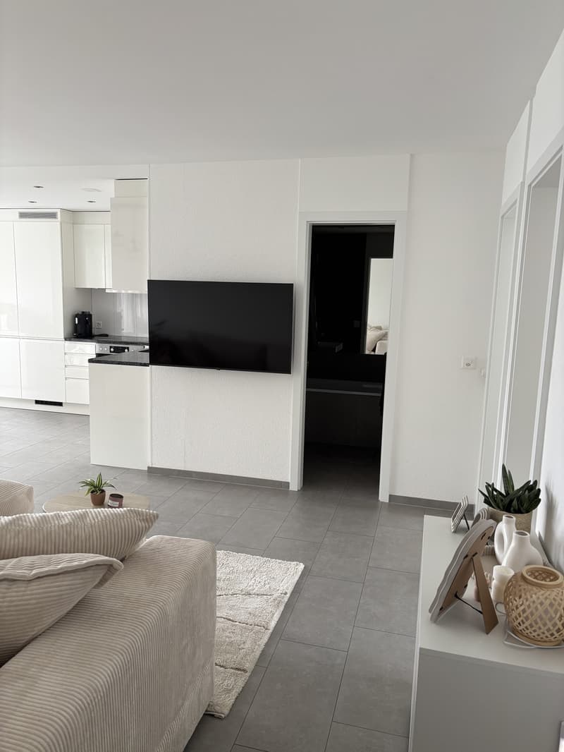 Appartement 3,5 pièces Bienne (6)