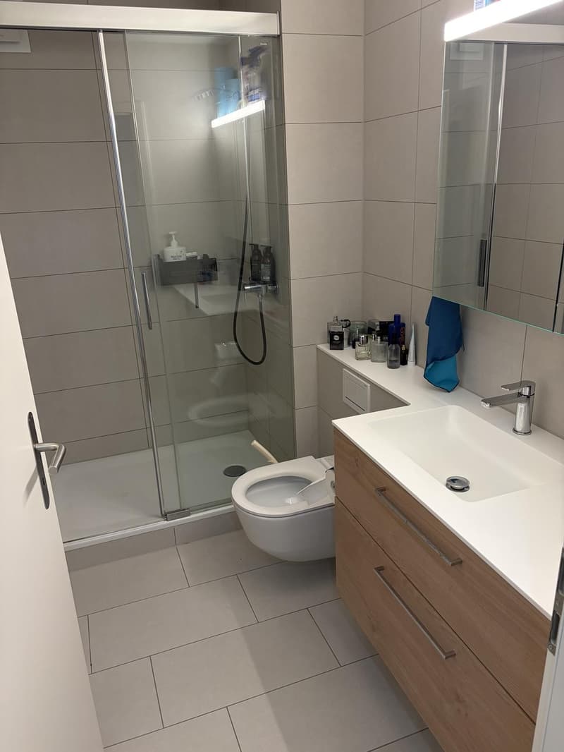 2.5 Zimmer-Wohnung (3)