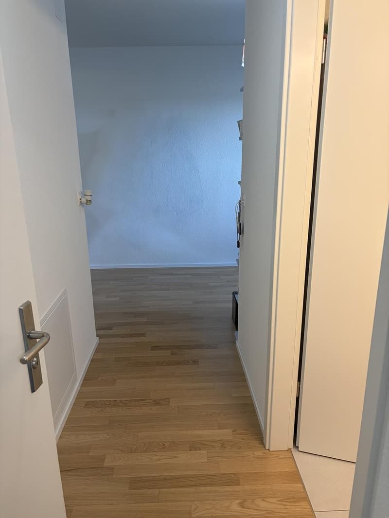 2.5 Zimmer-Wohnung (5)