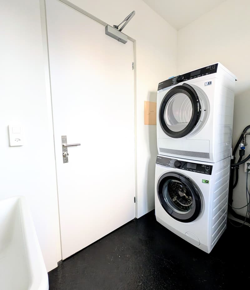 Charming New 1.5-Room Terrace Tiny House in Langnau am Albis (5)