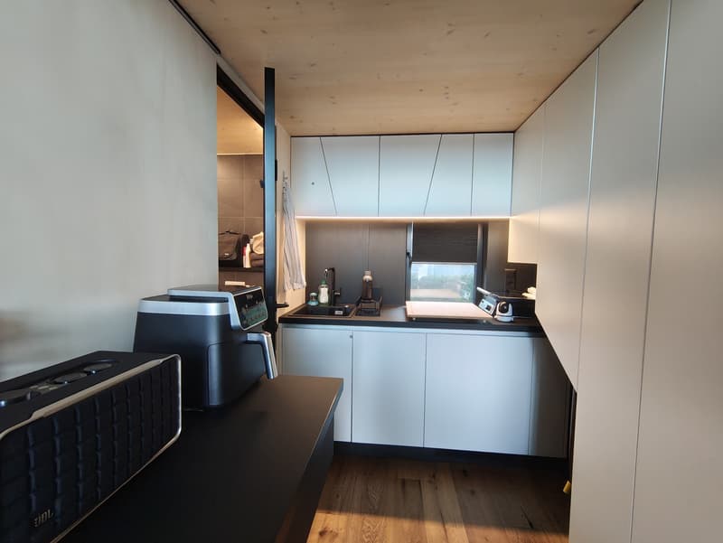 Charming New 1.5-Room Terrace Tiny House in Langnau am Albis (7)