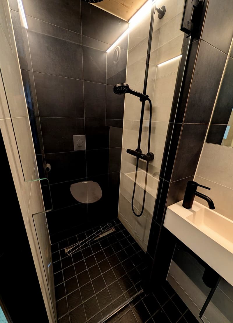 Charming New 1.5-Room Terrace Tiny House in Langnau am Albis (8)
