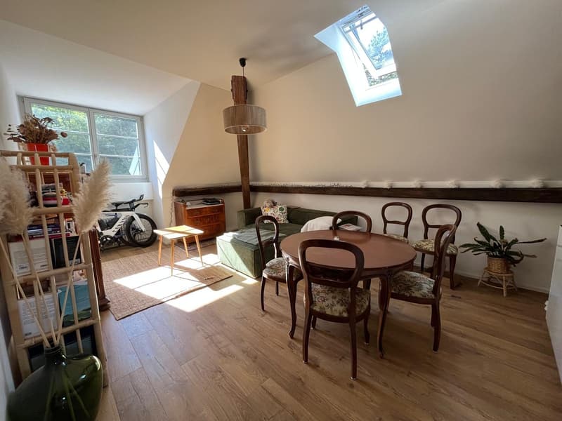 Appartement cosy 2,5 pièces à la Rue de Morat en ville de Fribourg. (1)