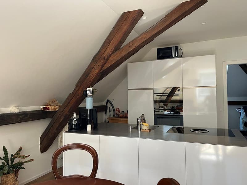 Appartement cosy 2,5 pièces à la Rue de Morat en ville de Fribourg. (4)
