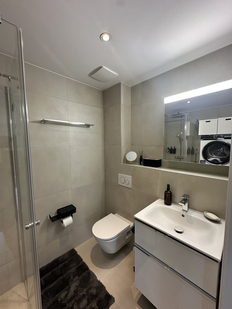 Moderne 2.5 Zimmer Dachwohnung mit Galerie (10)