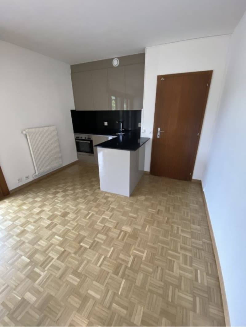 Appartement 2 pièces, 1245 Collonge-Bellerive (5)